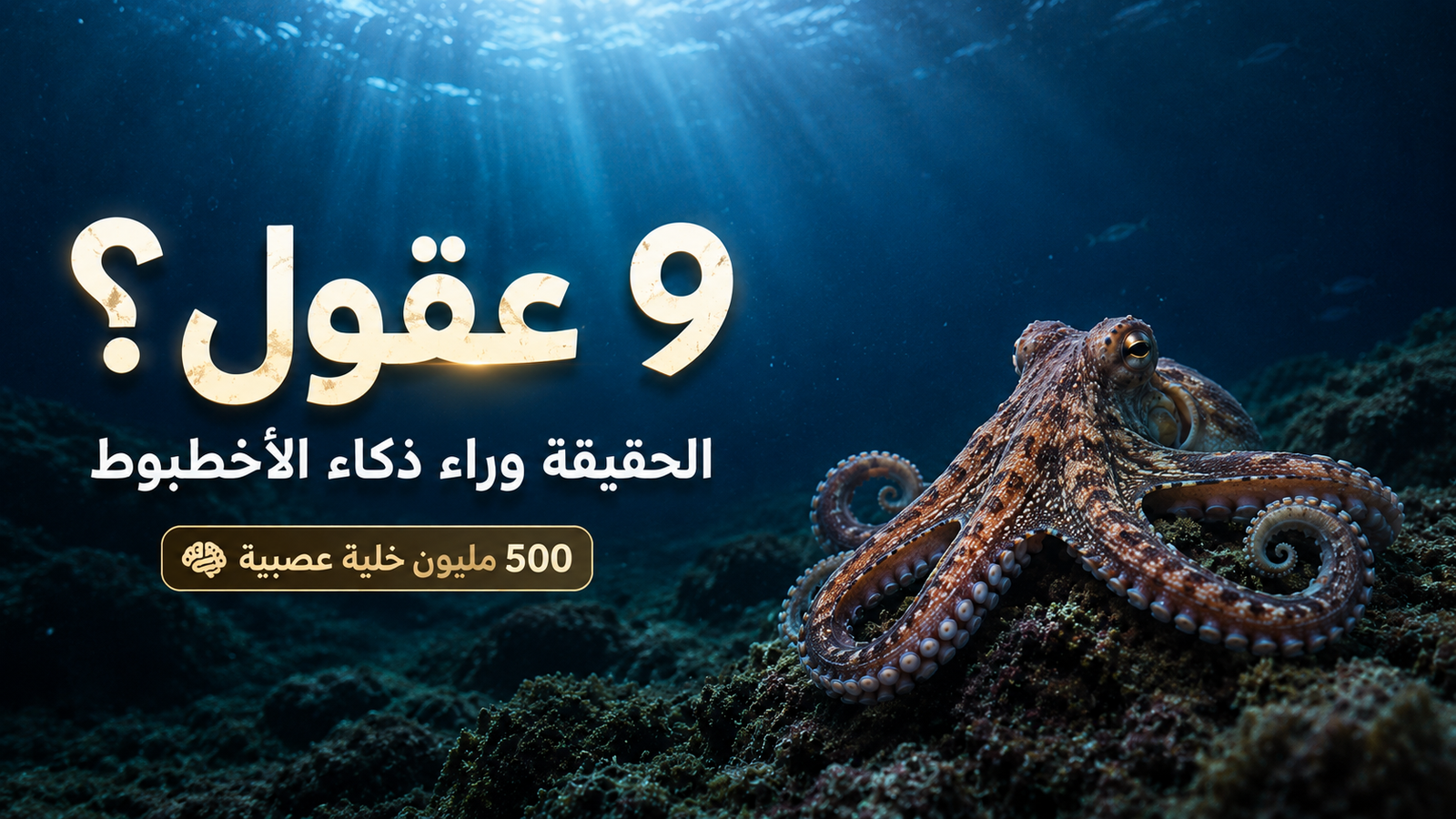 أخطبوط حقيقي في أعماق البحر يكشف أحد أكثر أسرار الطبيعة إثارة للدهشة، حيث يعتقد البعض أنه يمتلك 9 عقول بفضل جهازه العصبي الفريد وقدراته المذهلة على التعلم وحل المشكلات.