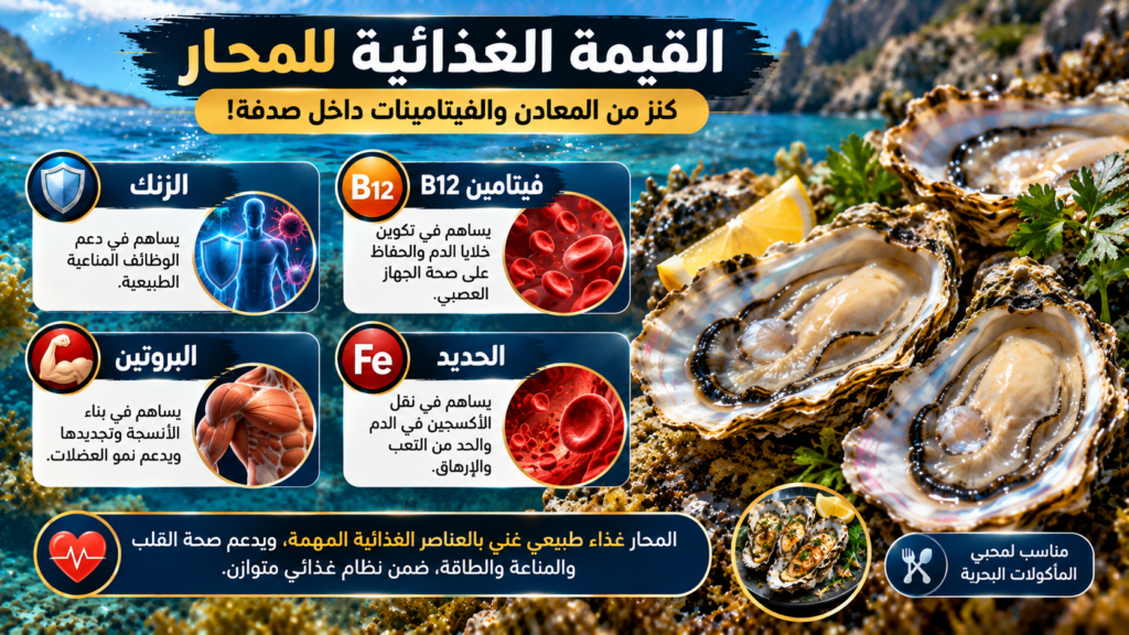 إنفوغرافيك يوضح القيمة الغذائية للمحار البحري وفوائده الصحية، مع إبراز الزنك وفيتامين B12 والبروتين والحديد ودورها في دعم المناعة وتكوين الدم وصحة العضلات.