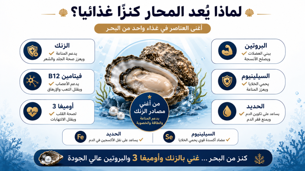 إنفوغرافيك يوضح القيمة الغذائية للمحار، مع إبراز أهم العناصر التي يحتوي عليها مثل الزنك وأوميغا 3 والبروتين وفيتامين B12 والحديد والسيلينيوم، ودورها في دعم المناعة وصحة القلب والعضلات.