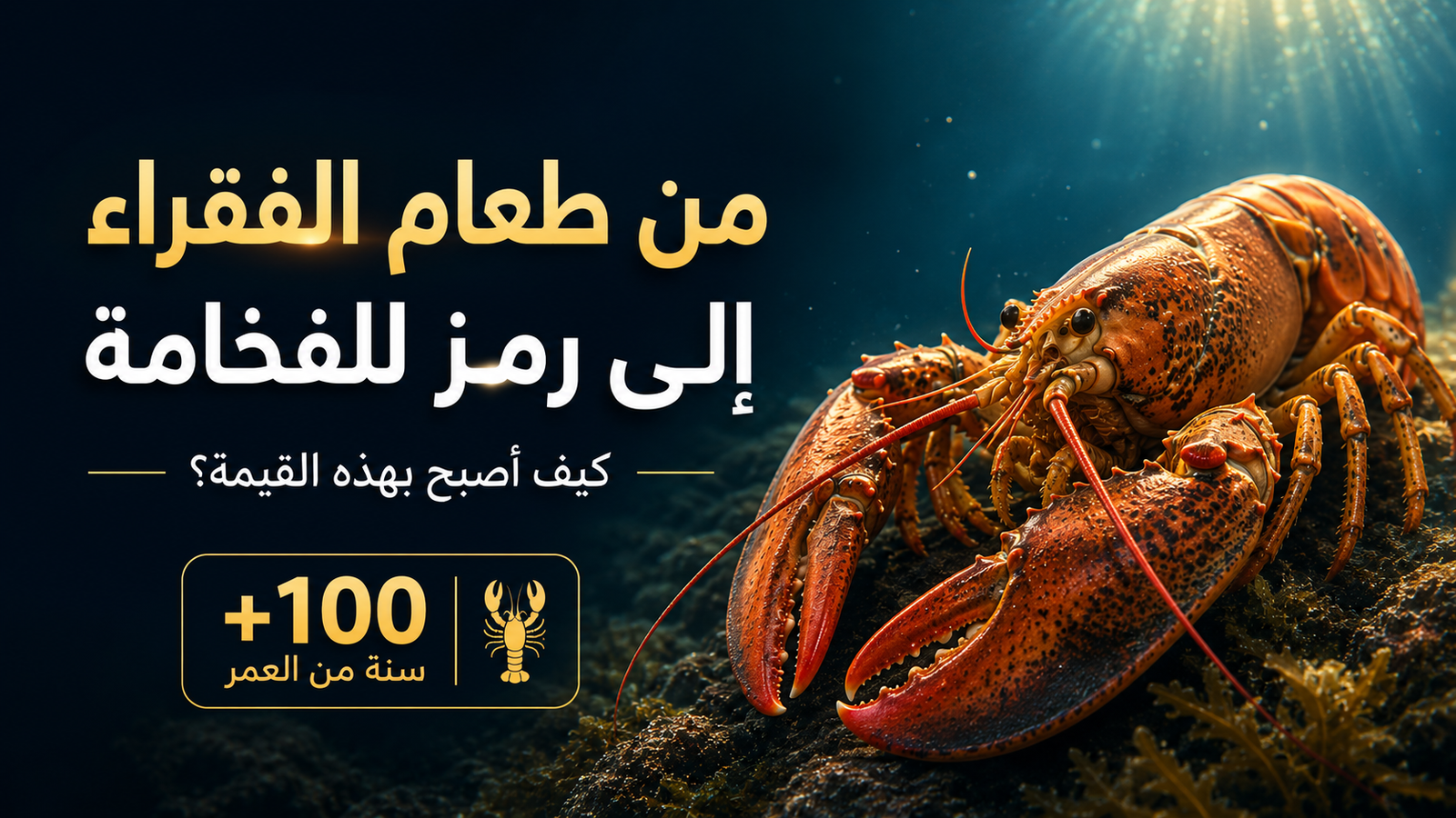الكركند (اللوبستر) في أعماق البحر بإضاءة سينمائية، يروي قصة تحوله من طعام رخيص إلى واحد من أغلى المأكولات البحرية في العالم.