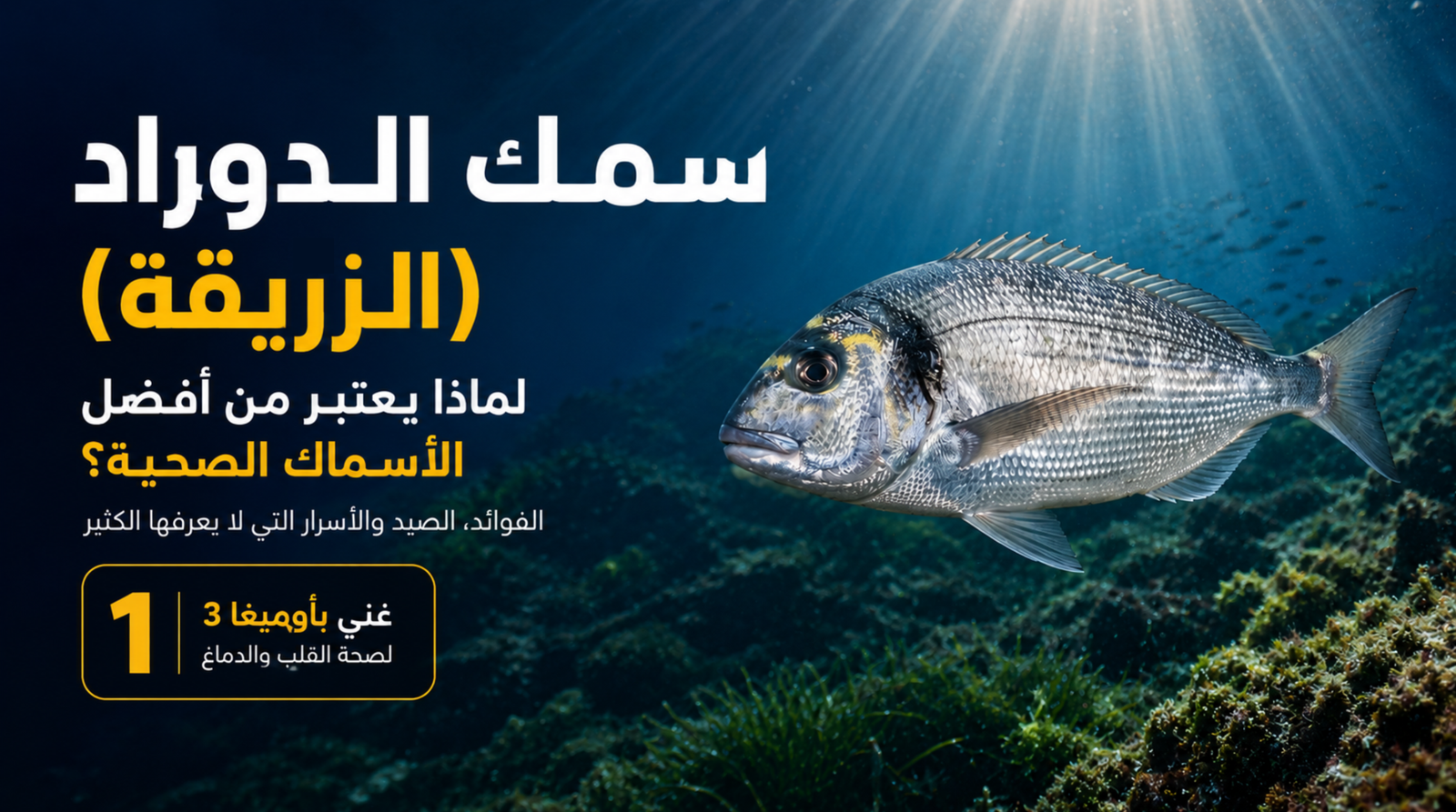 سمك الدوراد الملكي (الزريقة) يسبح في مياه البحر الأبيض المتوسط الصافية داخل تصميم سينمائي احترافي يبرز فوائد سمك الدوراد الصحية وأوميغا 3 بأسلوب وثائقي جذاب