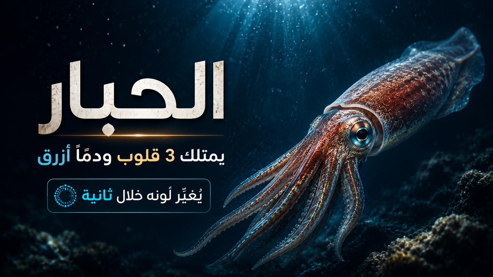 حبار عملاق يسبح في أعماق المحيط المظلمة، يظهر بعين ضخمة وجسم متوهج وقدرة مذهلة على التمويه، مع إبراز حقيقة امتلاكه 3 قلوب ودمًا أزرق في مشهد بحري سينمائي واقعي.