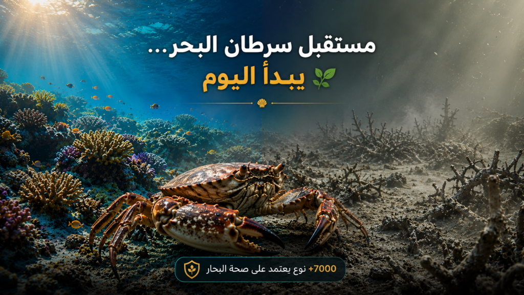 صورة ختامية مؤثرة تُظهر سرطان البحر بين شعاب مرجانية سليمة وأخرى متدهورة بفعل التغيرات البيئية، في مشهد يبرز أهمية حماية المحيطات للحفاظ على التنوع البيولوجي البحري.