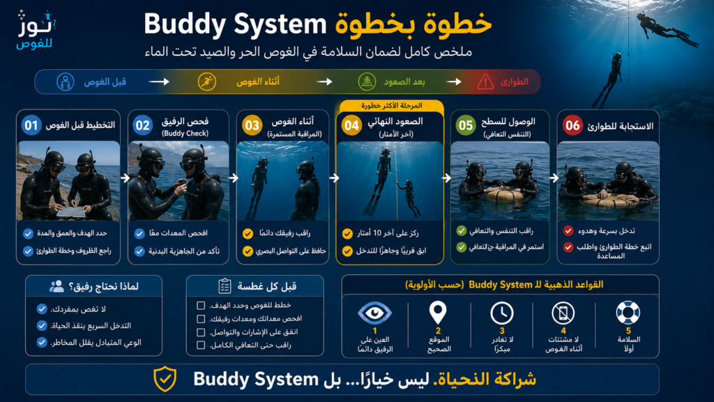 إنفوغرافيك يلخص خطوات تطبيق نظام Buddy System في الغوص الحر والصيد تحت الماء، بدءًا من التخطيط قبل الغوص وفحص الرفيق، مرورًا بالمراقبة أثناء الصعود، وانتهاءً بالتعافي على السطح والاستجابة للطوارئ لضمان أقصى درجات السلامة.