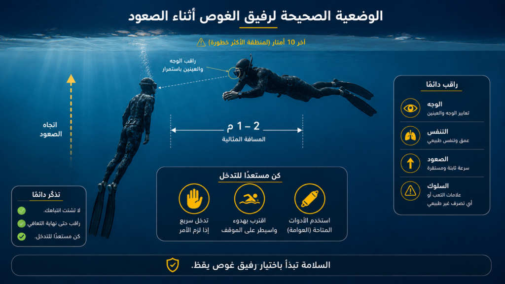 إنفوغرافيك يوضح الوضعية الصحيحة لرفيق الغوص أثناء صعود الغواص الحر، مع المسافة المثالية للمراقبة، زاوية الرؤية، وأهم العلامات التي يجب متابعتها لضمان السلامة في الغوص الحر والصيد تحت الماء.