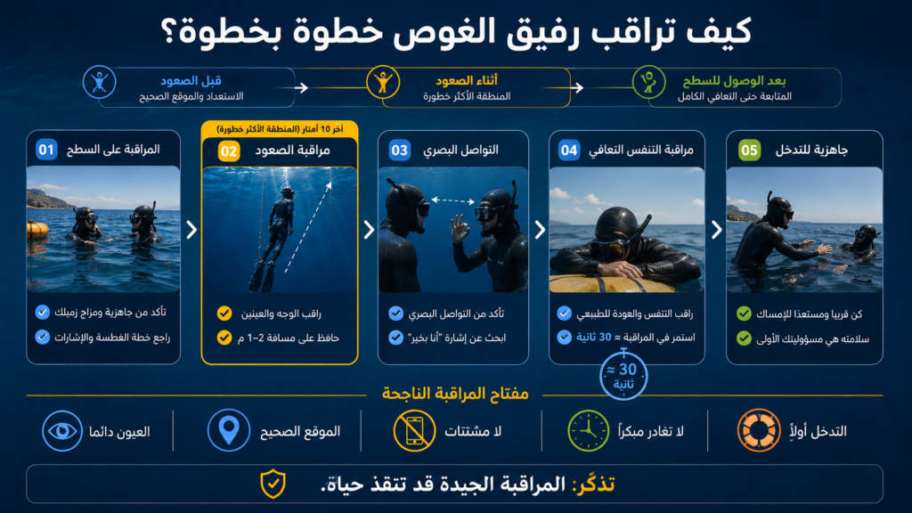 إنفوغرافيك يوضح خطوات مراقبة رفيق الغوص (Buddy System) في الغوص الحر، بدءًا من مراقبة الصعود والتواصل البصري وحتى متابعة التنفس بعد الوصول إلى السطح والاستعداد للتدخل عند الطوارئ.