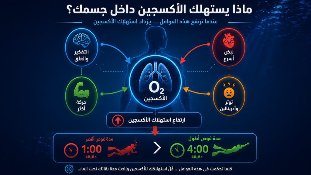 إنفوغرافيك يوضح ما يستهلك الأكسجين داخل جسم الغواص تحت الماء، وكيف يؤدي التوتر وارتفاع النبض وكثرة الحركة إلى تقليل مدة الغوص وزيادة استهلاك الطاقة.