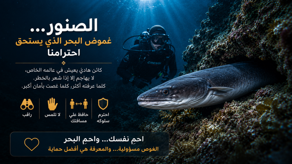 صورة خاتمة مؤثرة لغواص يراقب سمك الفرخ أو الصنور داخل الصخور البحرية في مشهد سينمائي يعكس احترام الحياة البحرية والغوص الآمن