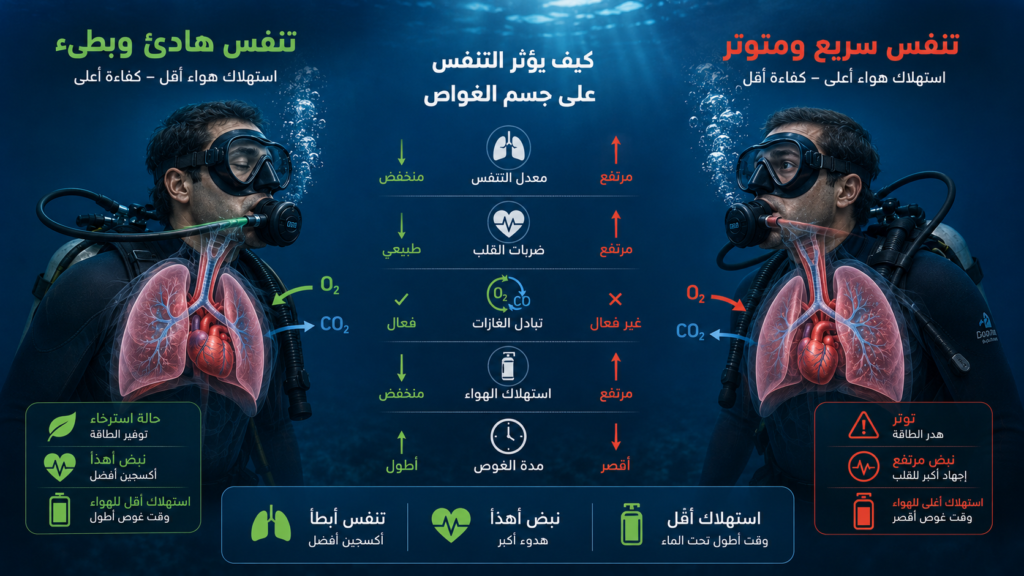 أنفوغرافيك طبي احترافي يوضح الفرق بين التنفس الهادئ والتنفس السريع وتأثيرهما على استهلاك الهواء أثناء غوص السكوبا