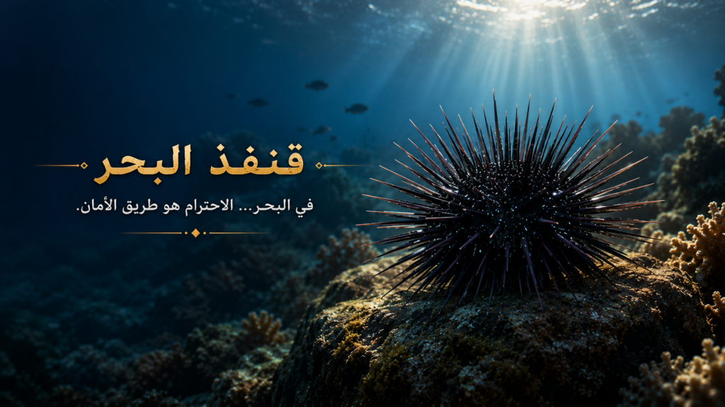 صورة خاتمة سينمائية لقنفذ البحر فوق الصخور في أعماق البحر مع أشعة ضوء طبيعية تعكس جماله الغامض وخطورته تحت الماء