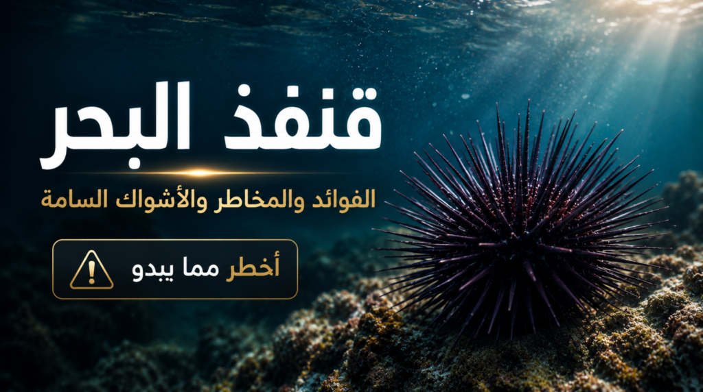 صورة سينمائية لقنفذ البحر مع إصابة مؤلمة في القدم تحت الماء توضح خطورة أشواكه الحادة في مشهد بحري واقعي عالي التفاصيل