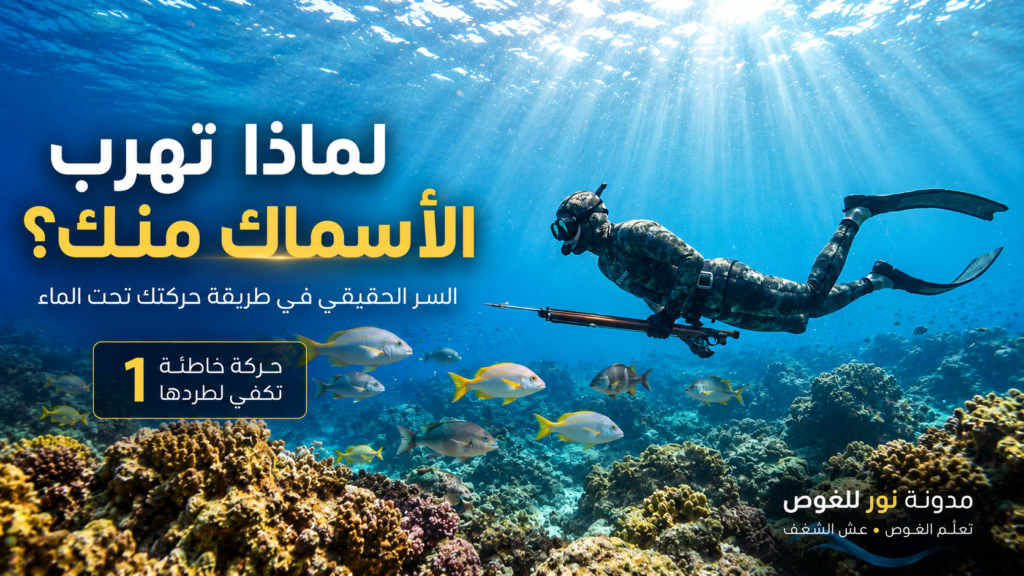 غواص حر يقترب بهدوء من الأسماك داخل أعماق البحر في مشهد يوضح سر الحركة التي لا تخيف السمك تحت الماء