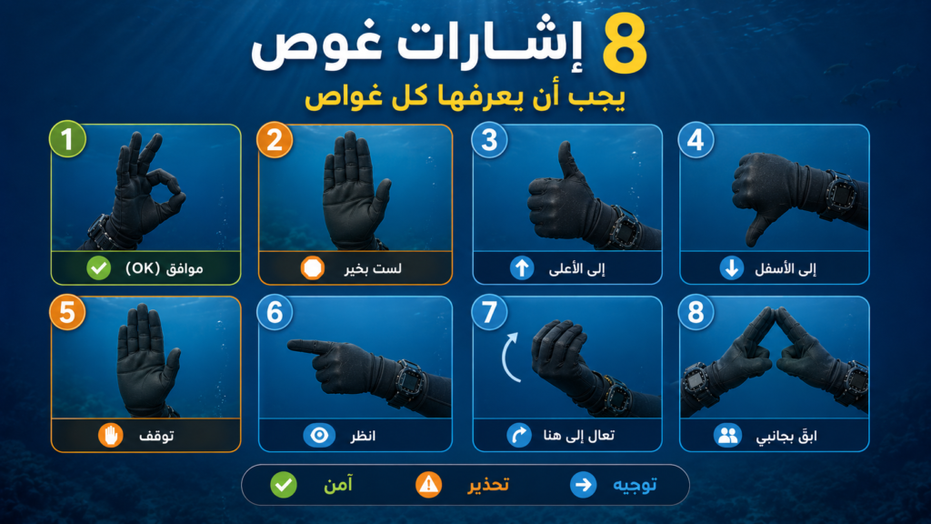 إنفوغرافيك يوضح أشهر 8 إشارات غوص بالأسطوانات ومعانيها، بما في ذلك إشارة OK والصعود والنزول والتوقف وطلب الاقتراب، المستخدمة للتواصل الآمن تحت الماء.