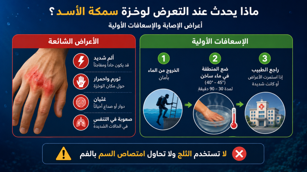 إنفوغرافيك طبي يوضح أعراض وخزة سمكة الأسد السامة وخطوات الإسعاف الأولي الصحيحة، بما في ذلك استخدام الماء الساخن ومتى يجب طلب المساعدة الطبية.