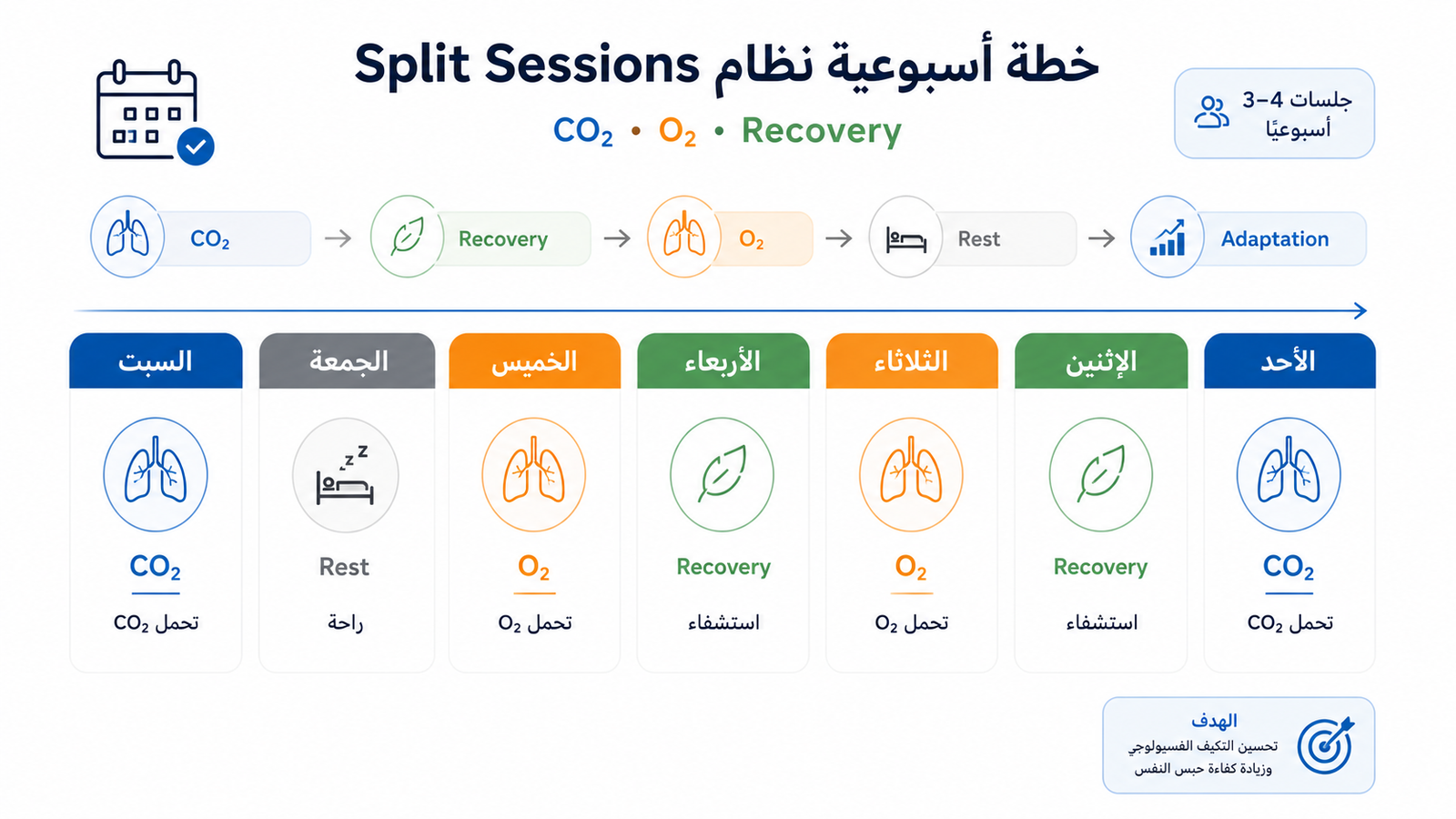 إنفوغرافيك يوضح خطة أسبوعية لنظام Split Sessions لتوزيع تمارين CO₂ وO₂ وأيام الاستشفاء لزيادة مدة حبس النفس في الغوص الحر
