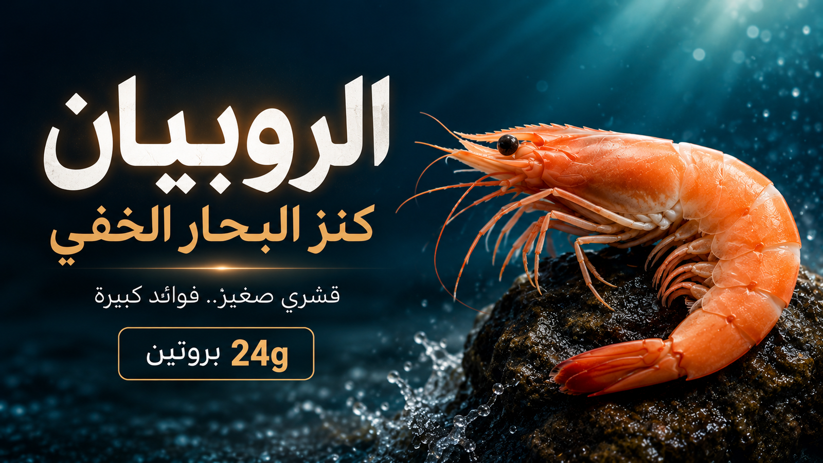 الروبيان (الجمبري) على صخرة بحرية تحت الماء بإضاءة سينمائية، مع إبراز قيمته الغذائية العالية واحتوائه على 24 جرامًا من البروتين لكل 100 جرام.